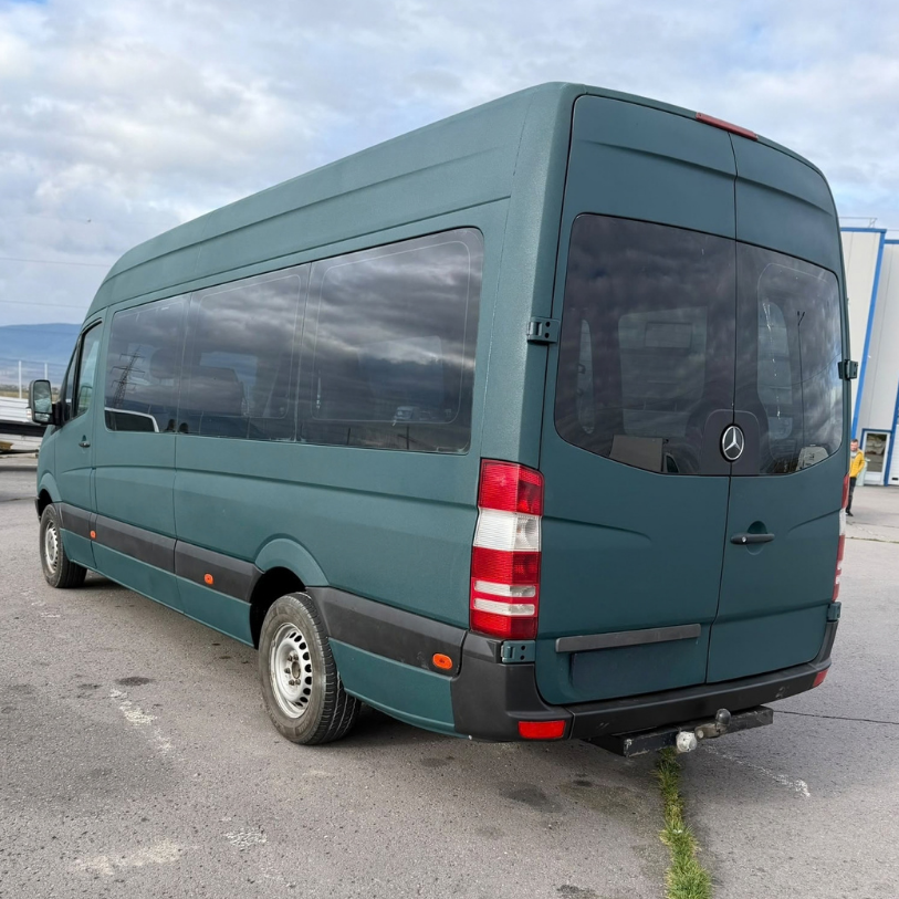 Ral 6004 (4)