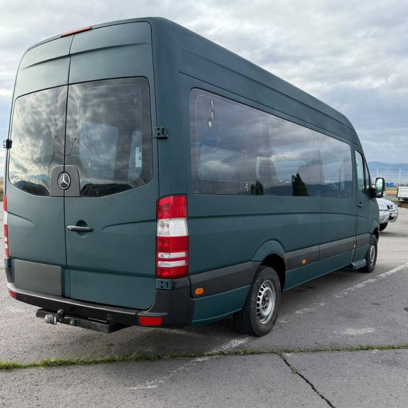 Ral 6004 (5)
